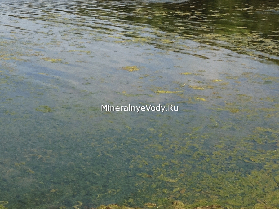 Иллюстрация к тексту Вы отдыхали в Минеральных Водах? Иллюстрация к тексту Вы отдыхали в Минеральных Водах?